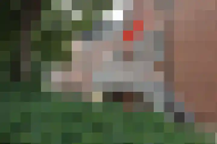 Steenen Dijck 79 Maassluis thumbnail 14