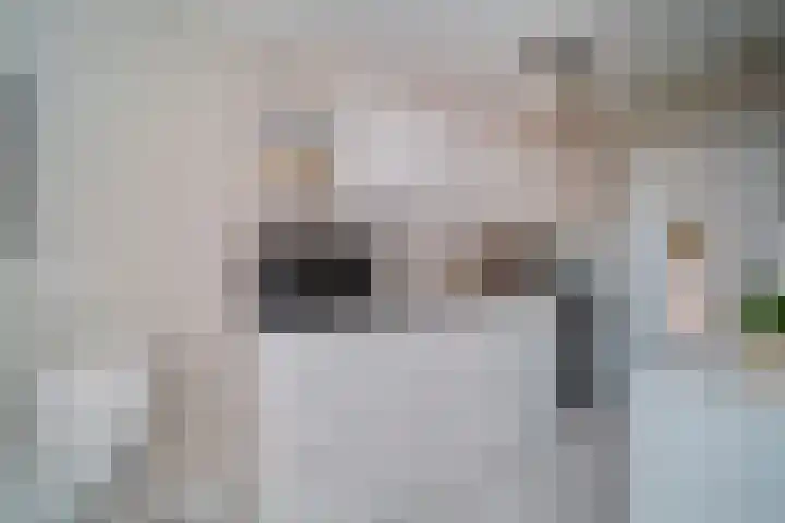 Steenen Dijck 79 Maassluis thumbnail 8