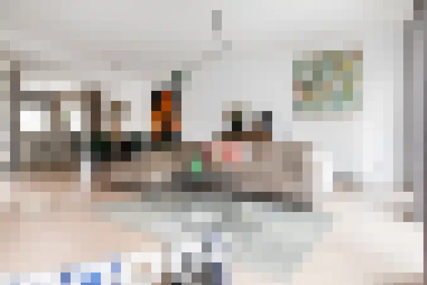 Steenenbaak 23 Hoofddorp thumbnail 13
