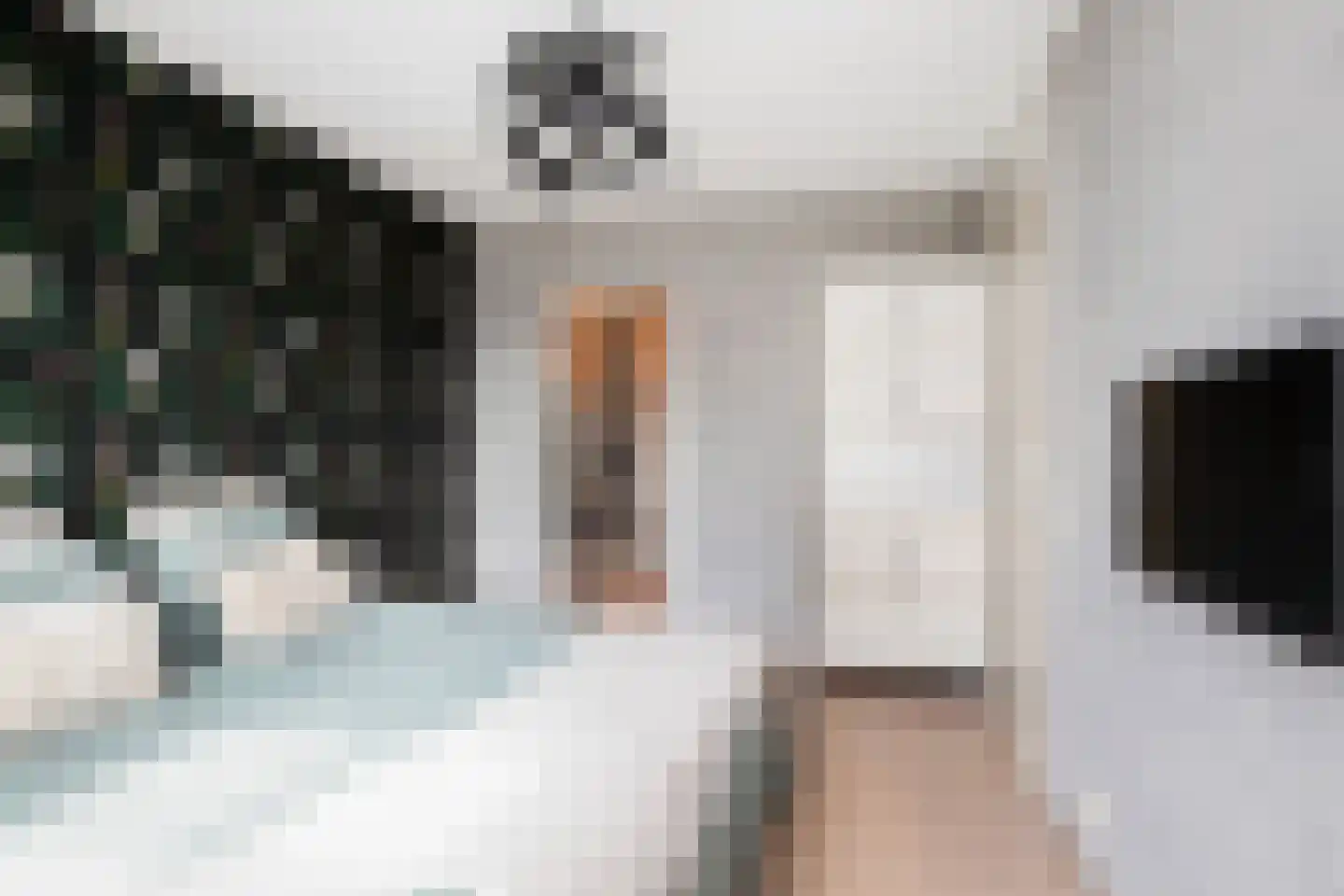Steenenbaak 23 Hoofddorp thumbnail 22