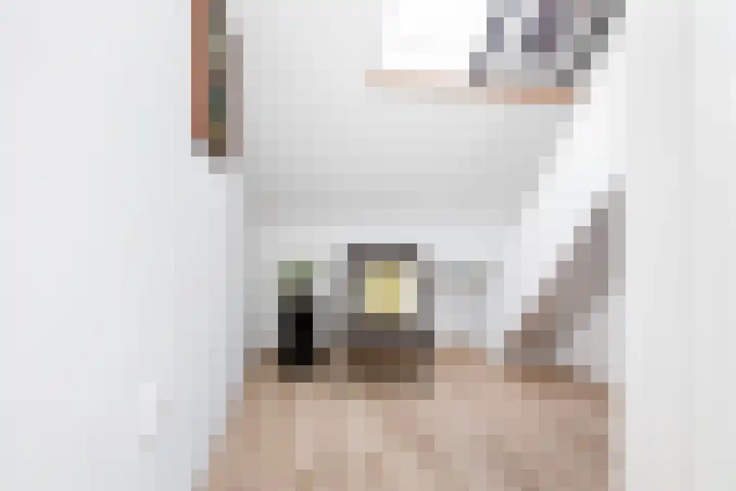 Steenenbaak 23 Hoofddorp thumbnail 33