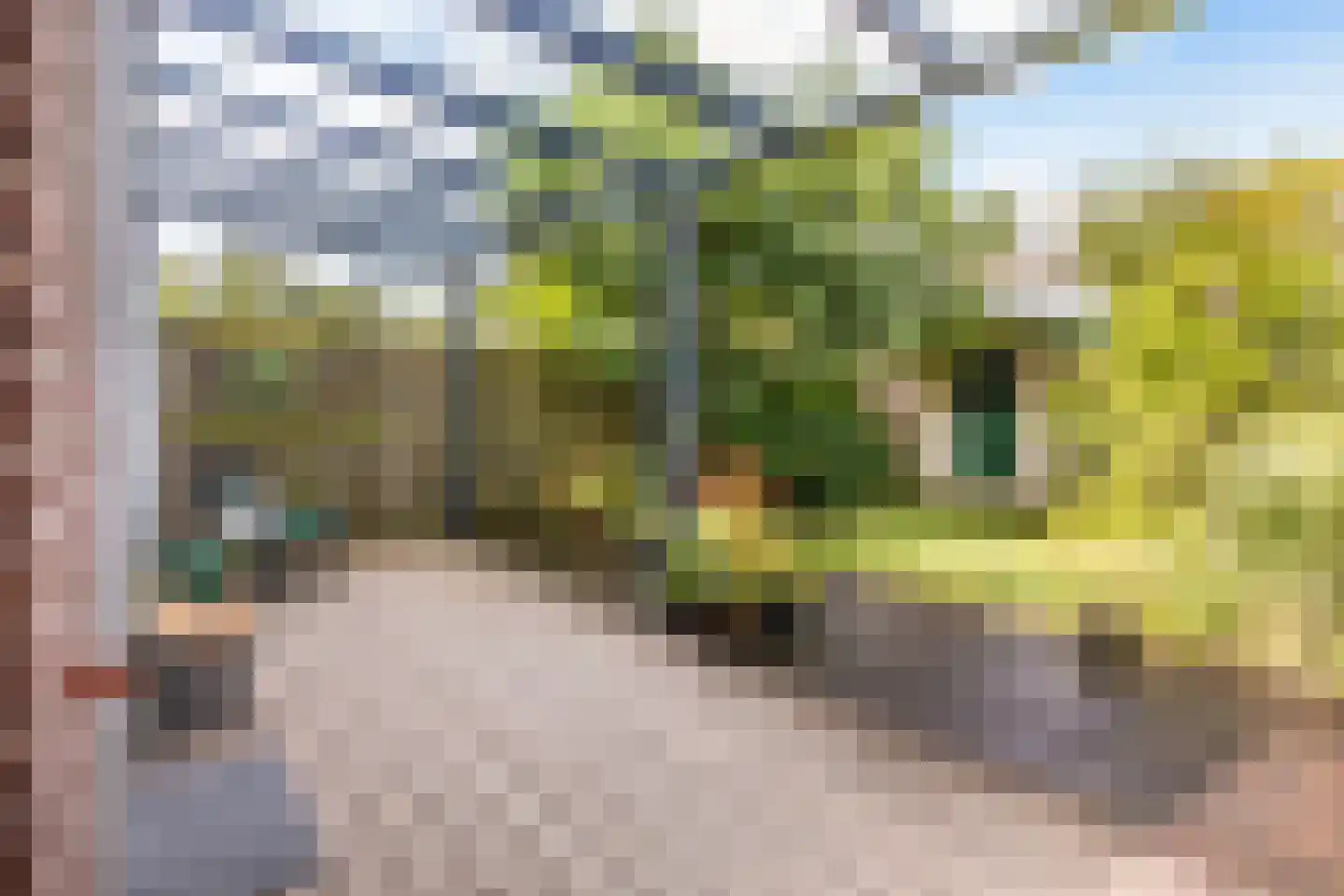 Steenenbaak 23 Hoofddorp thumbnail 37