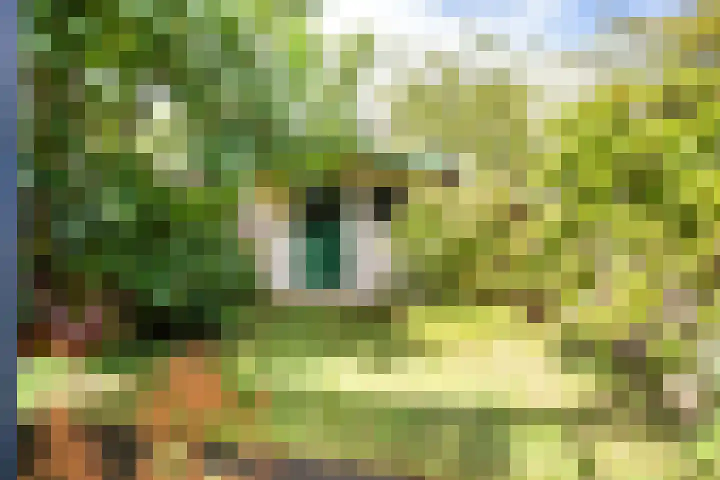 Steenenbaak 23 Hoofddorp thumbnail 41