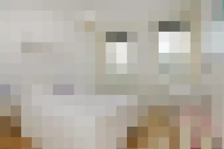 Steenenbaak 41 Hoofddorp thumbnail 12