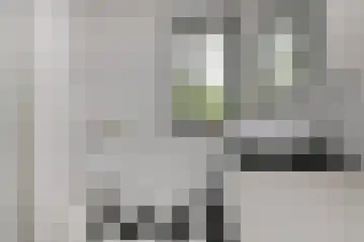 Steenenbaak 41 Hoofddorp thumbnail 14