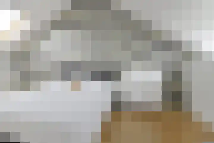 Steenenbaak 41 Hoofddorp thumbnail 17