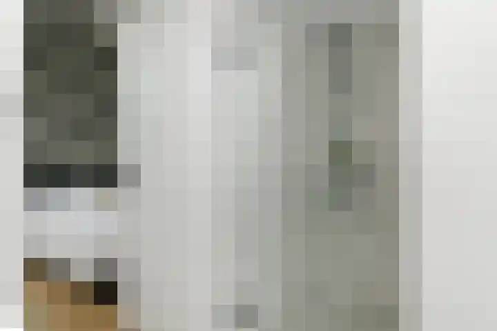 Steenenbaak 41 Hoofddorp thumbnail 19