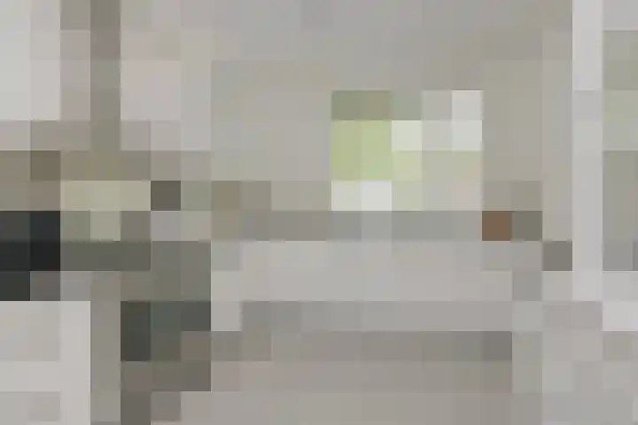 Steenenbaak 41 Hoofddorp foto 3