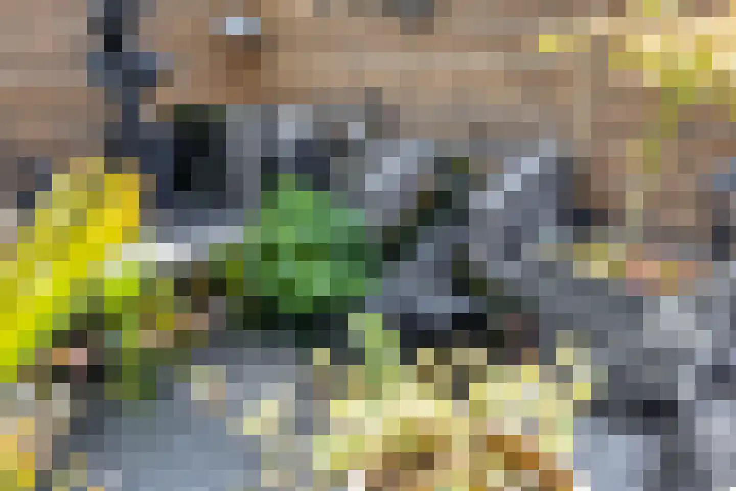 Steenenburg 6 Oss thumbnail 29