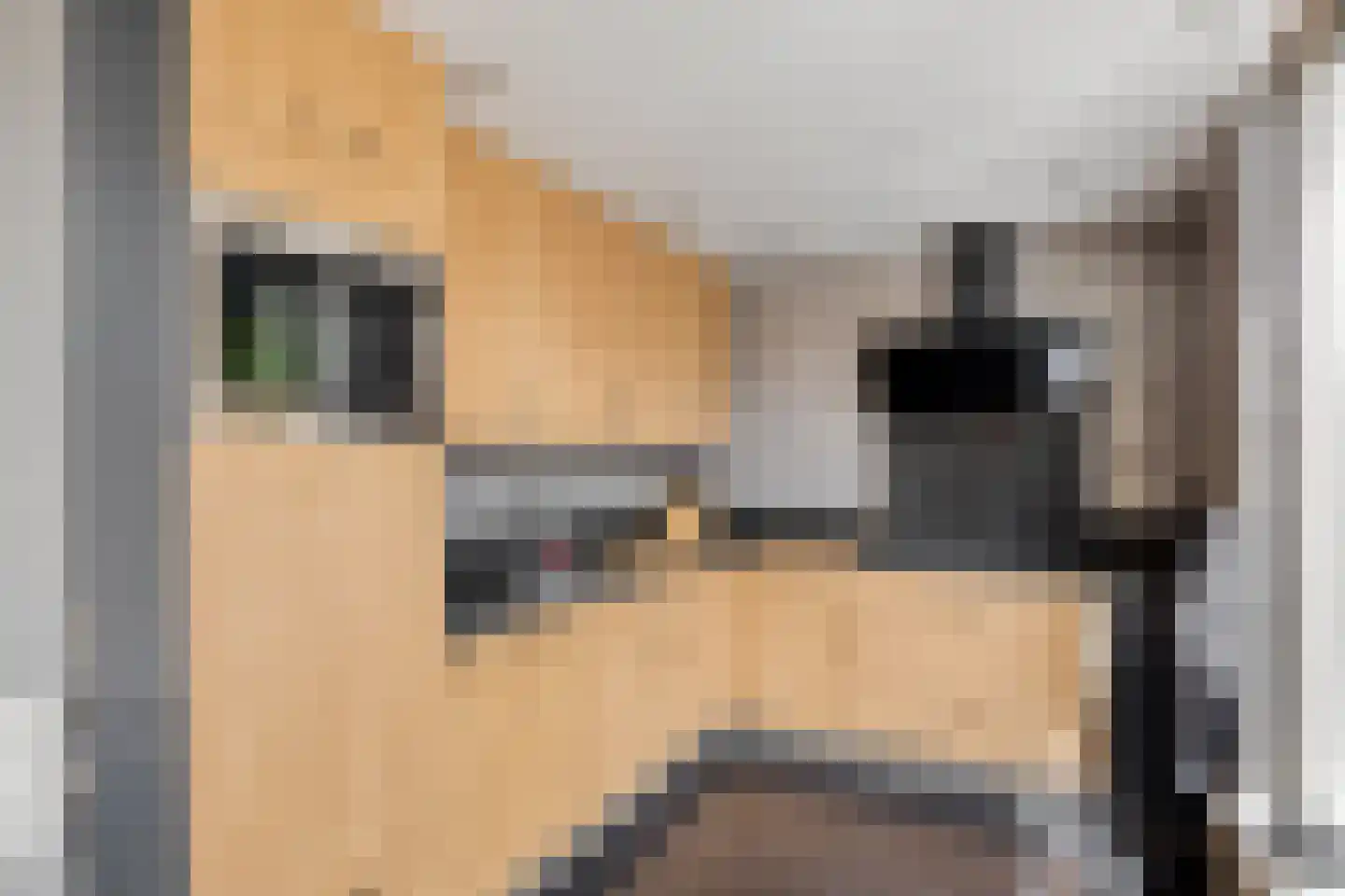 Steenenburg 6 Oss thumbnail 5