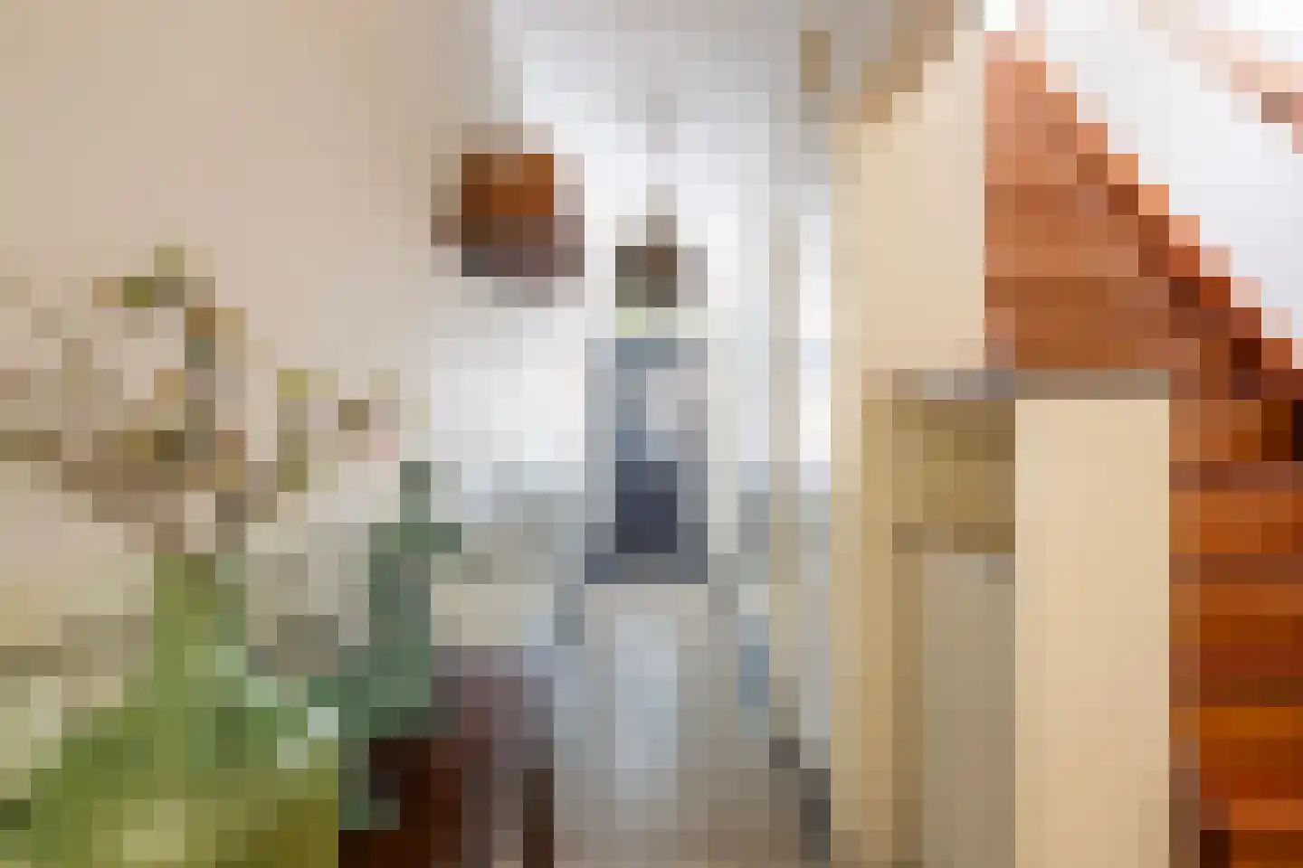Steenenstraat 10 Oud-Beijerland thumbnail 10