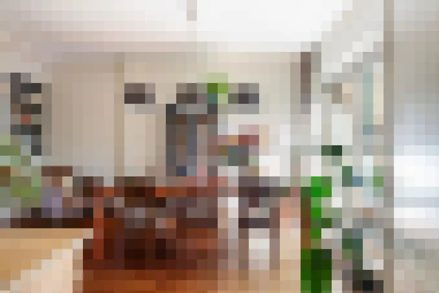 Steenenstraat 10 Oud-Beijerland thumbnail 11