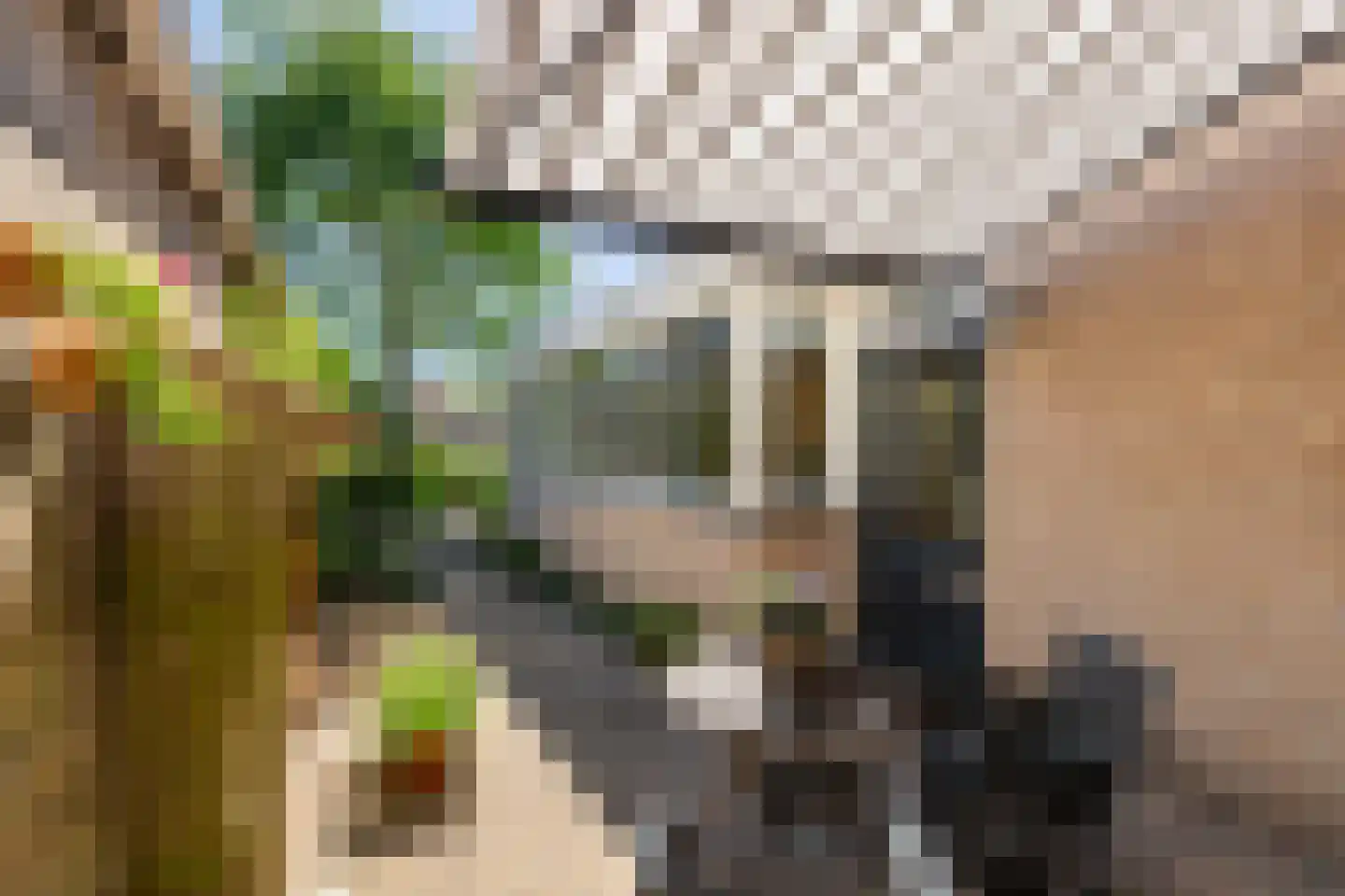Steenenstraat 10 Oud-Beijerland thumbnail 21