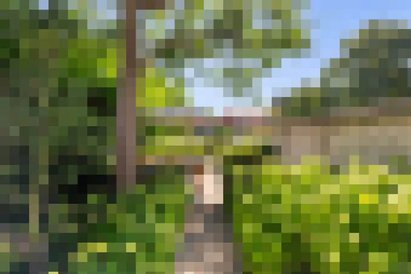 Steenenstraat 10 Oud-Beijerland thumbnail 23