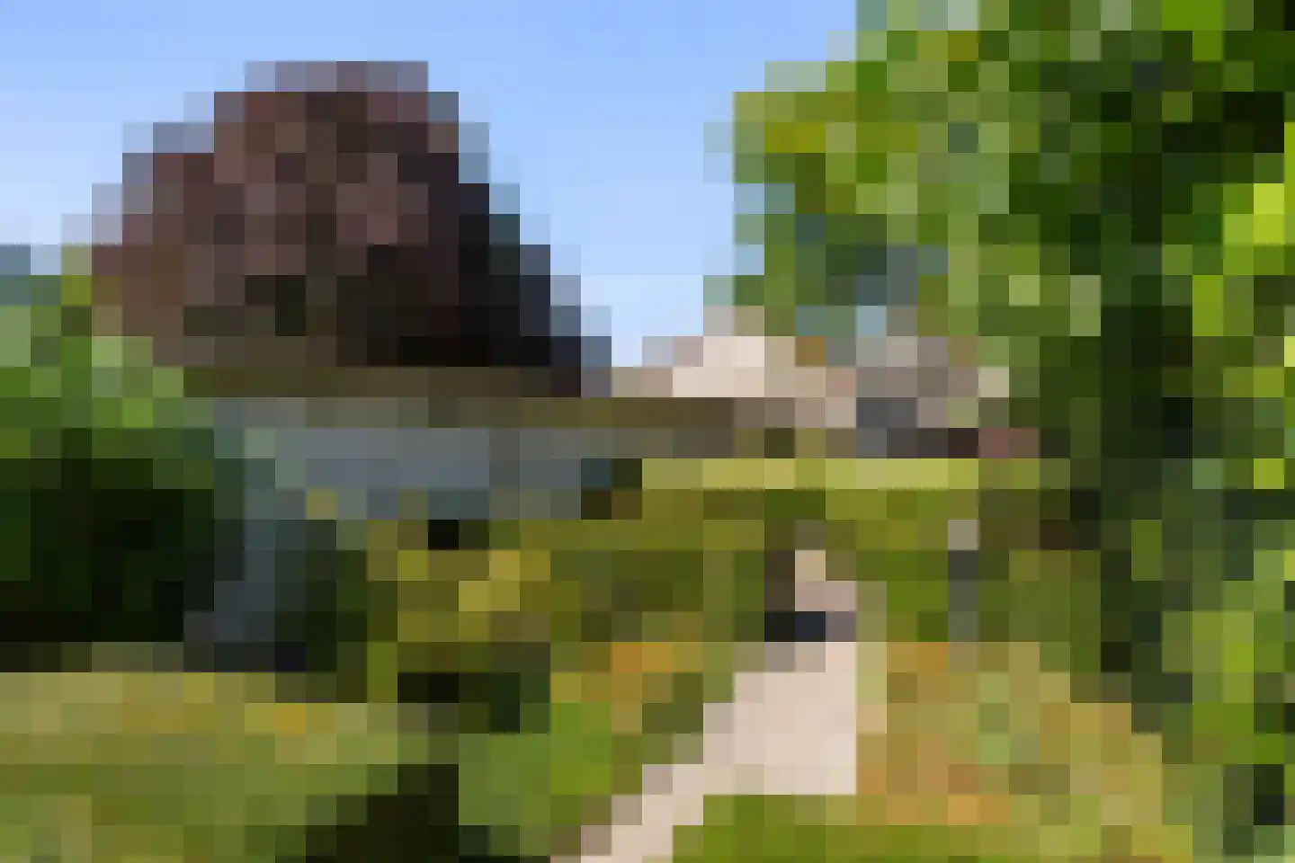 Steenenstraat 10 Oud-Beijerland thumbnail 26