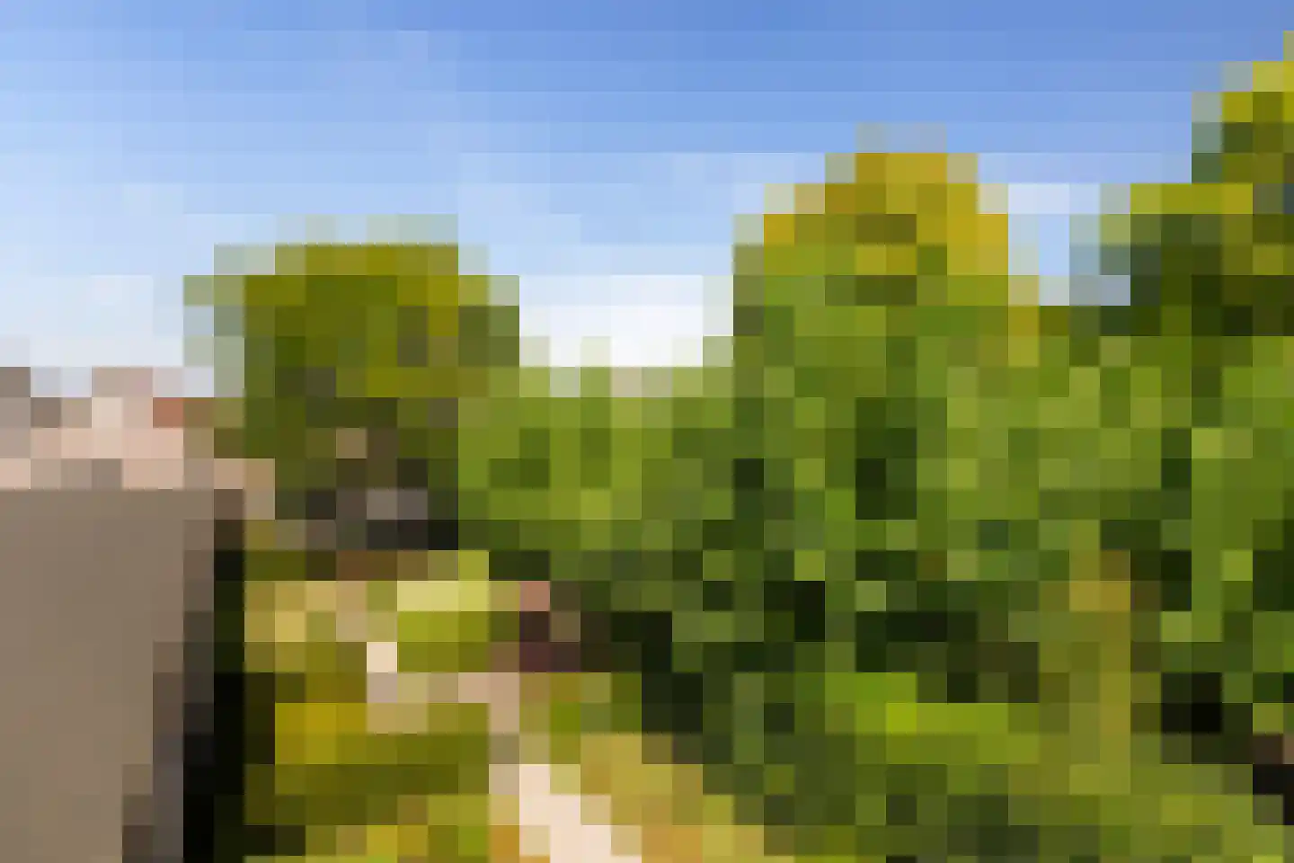 Steenenstraat 10 Oud-Beijerland thumbnail 30