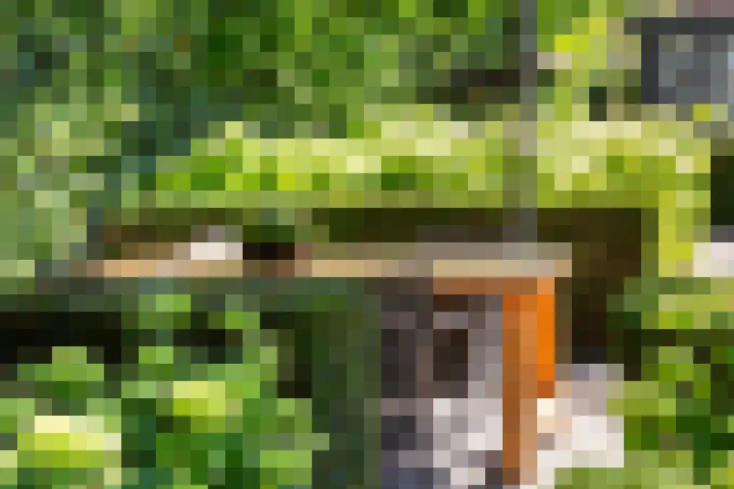 Steenenstraat 10 Oud-Beijerland thumbnail 31