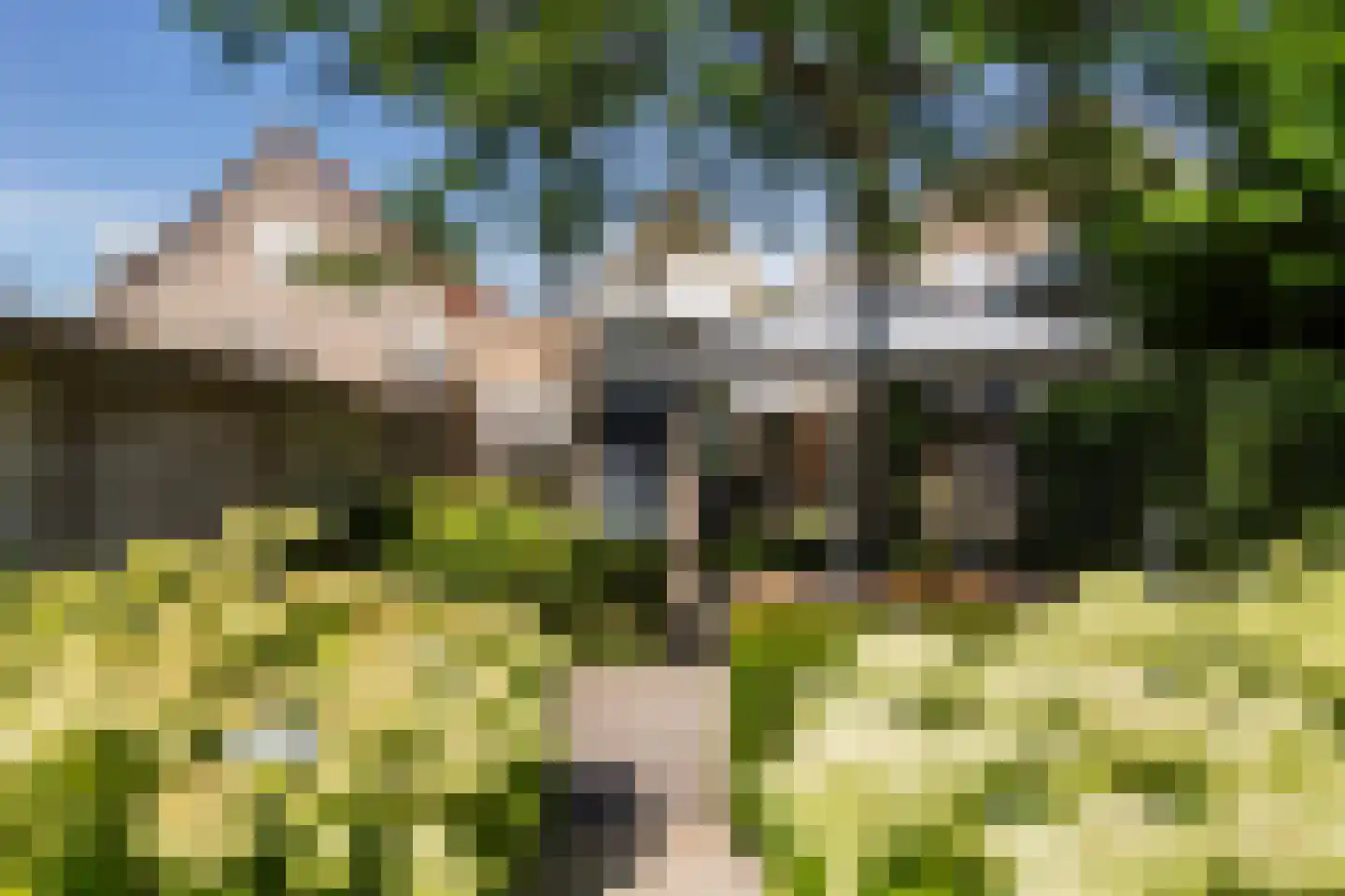 Steenenstraat 10 Oud-Beijerland thumbnail 34