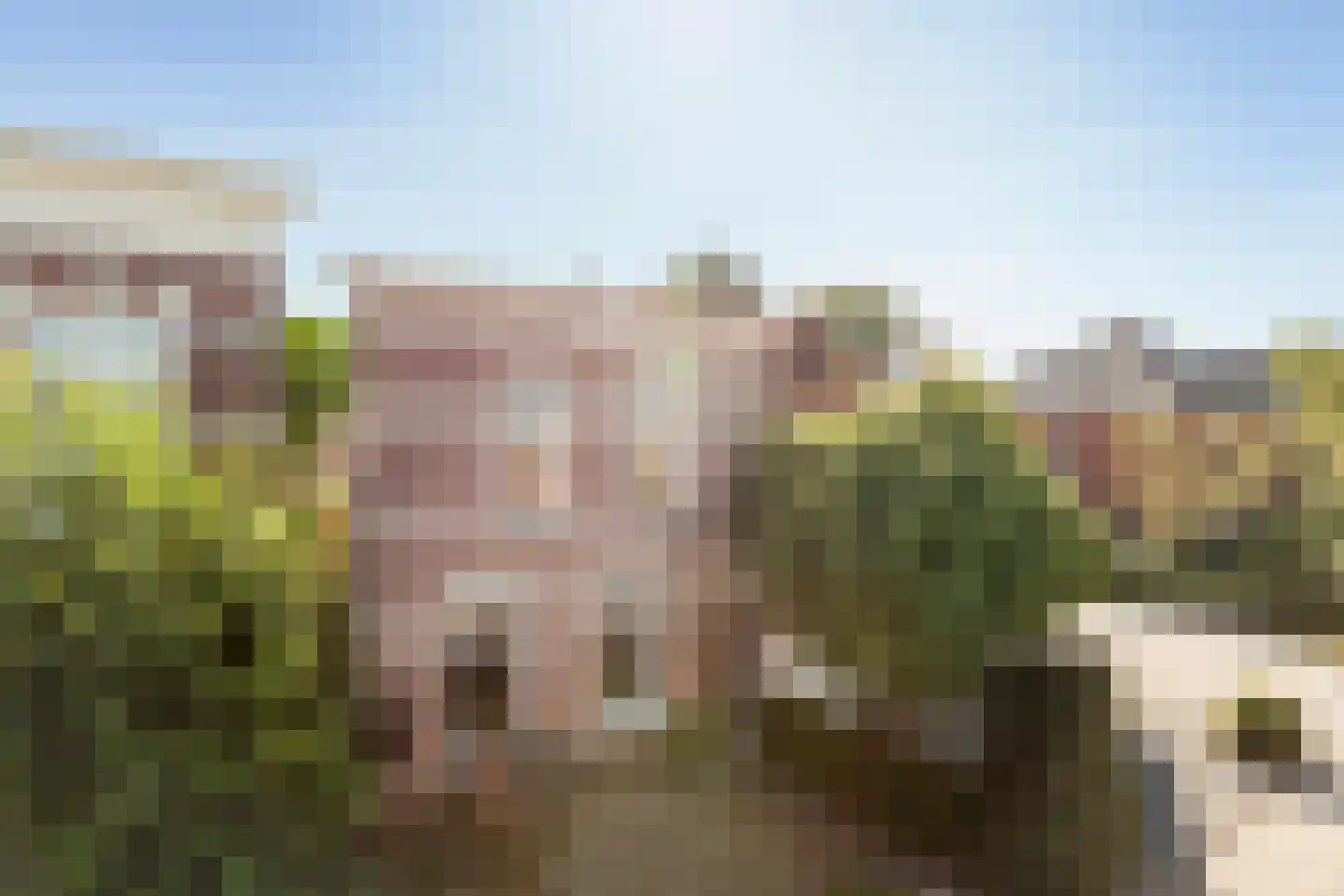 Steenenstraat 10 Oud-Beijerland thumbnail 4