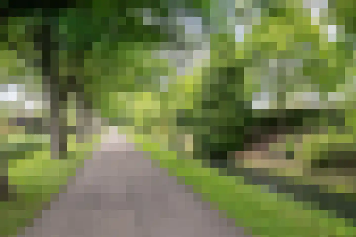 Steenenstraat 10 Oud-Beijerland thumbnail 49
