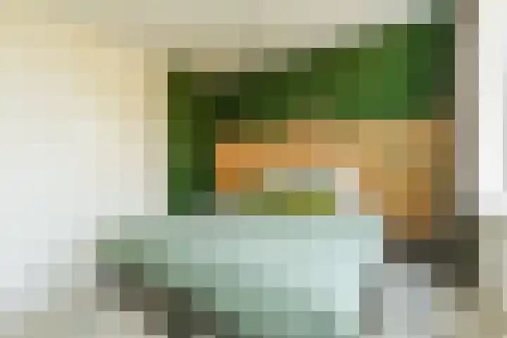 Steenenstraat 3 Oud-Beijerland thumbnail 13
