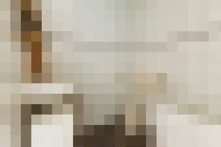 Steenenstraat 3 Oud-Beijerland thumbnail 19