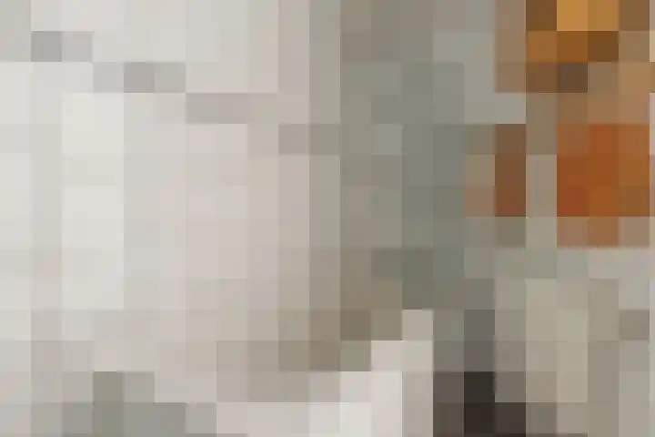 Steenenstraat 3 Oud-Beijerland thumbnail 20