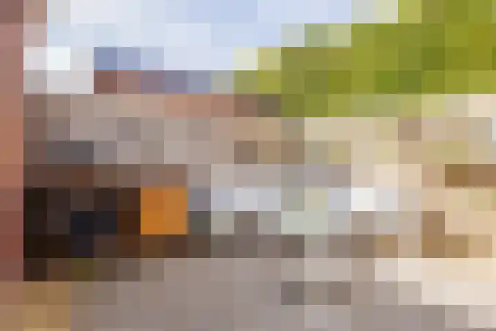 Steenenstraat 3 Oud-Beijerland thumbnail 23