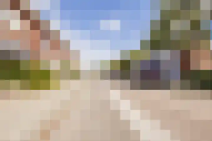 Steenenstraat 3 Oud-Beijerland thumbnail 26
