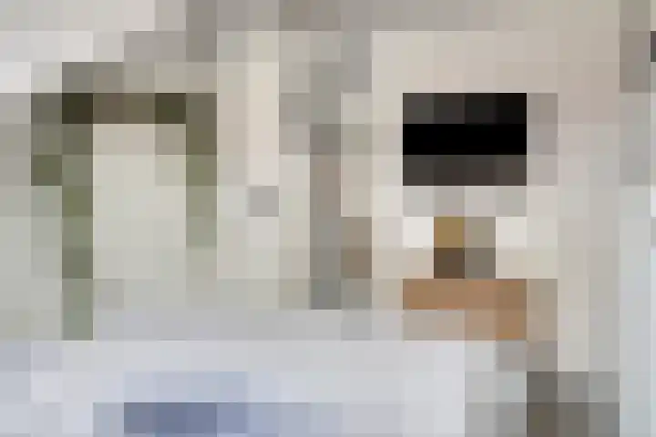 Steenenstraat 65 Oud-Beijerland thumbnail 14