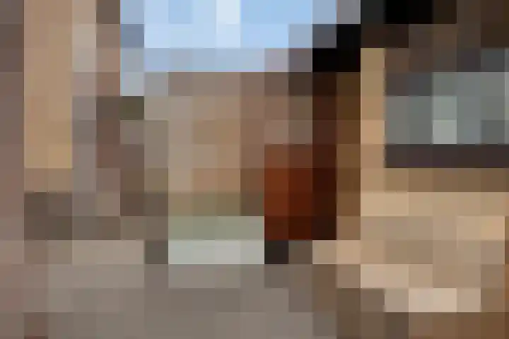 Steenenstraat 65 Oud-Beijerland thumbnail 17