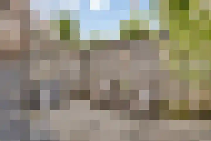 Steenenstraat 71 Oud-Beijerland thumbnail 18