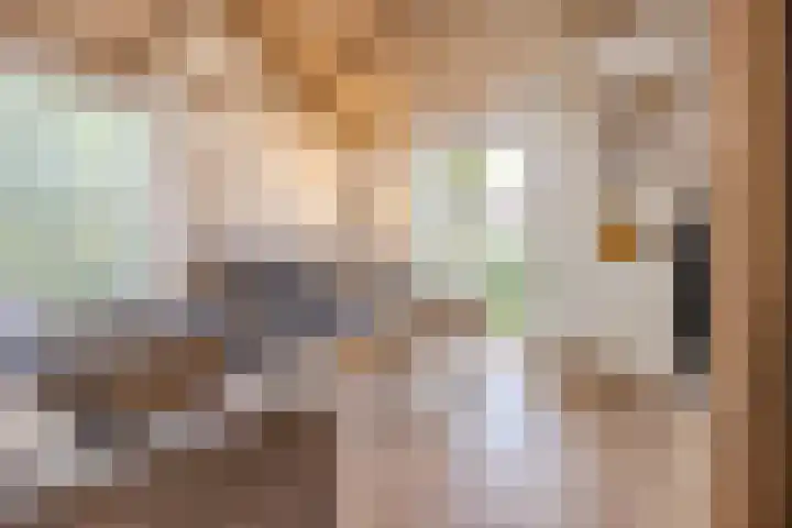 Steenfabriek 10 Gilze thumbnail 11