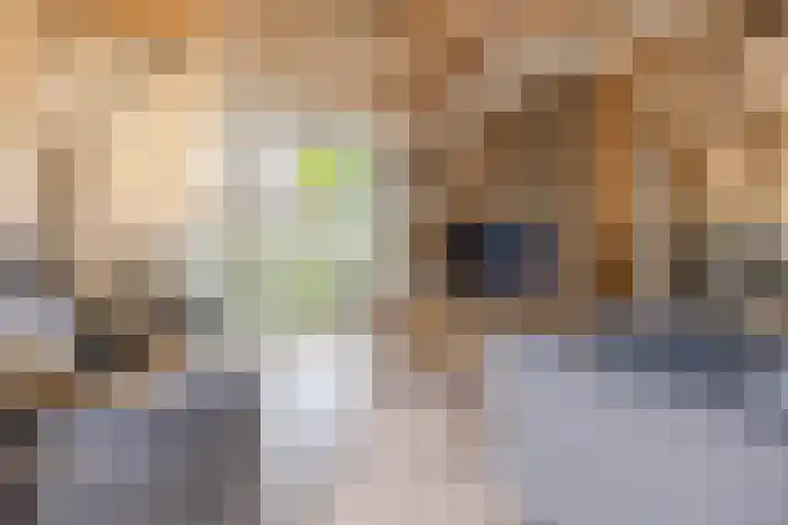 Steenfabriek 10 Gilze thumbnail 12