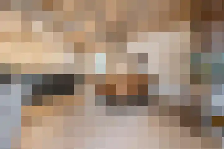 Steenfabriek 10 Gilze thumbnail 15