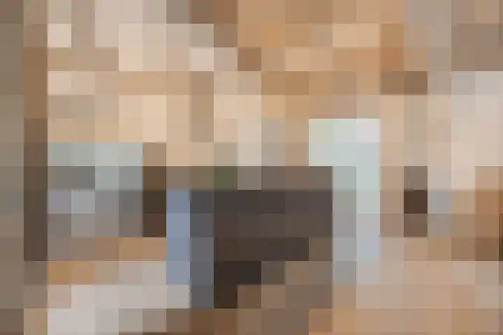 Steenfabriek 10 Gilze thumbnail 19