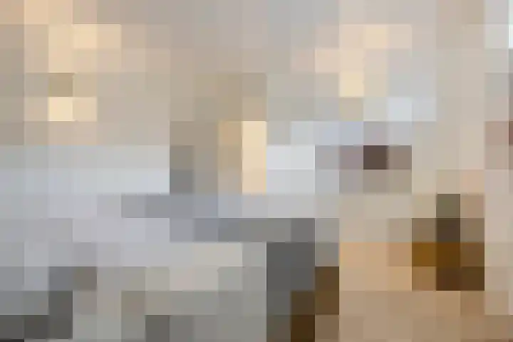 Steenfabriek 10 Gilze thumbnail 23