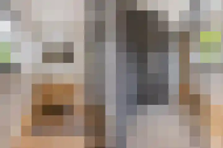 Steenfabriek 10 Gilze thumbnail 27