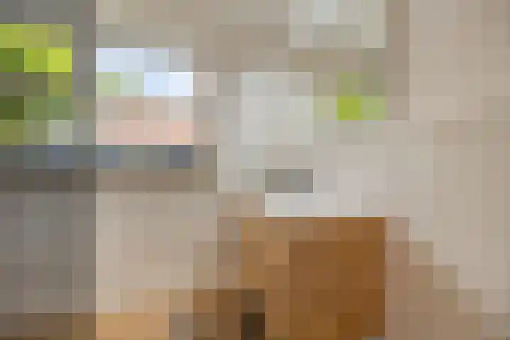 Steenfabriek 10 Gilze thumbnail 28