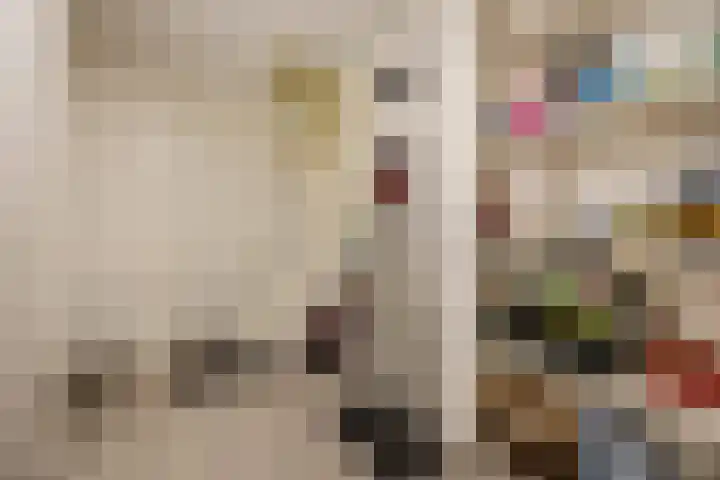Steenfabriek 10 Gilze thumbnail 30