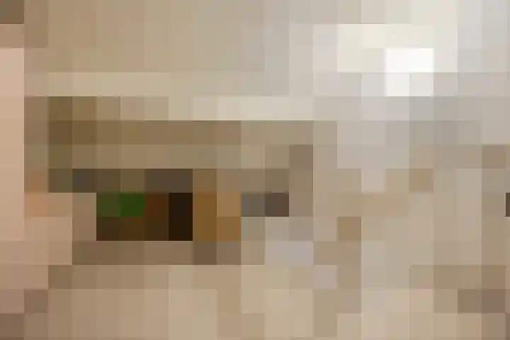 Steenfabriek 10 Gilze thumbnail 31