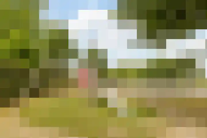 Steenfabriek 10 Gilze thumbnail 37
