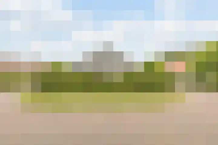 Steenfabriek 10 Gilze thumbnail 38