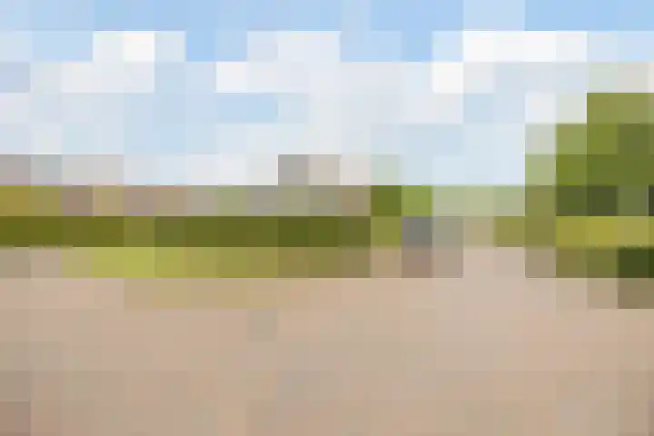 Steenfabriek 10 Gilze thumbnail 39