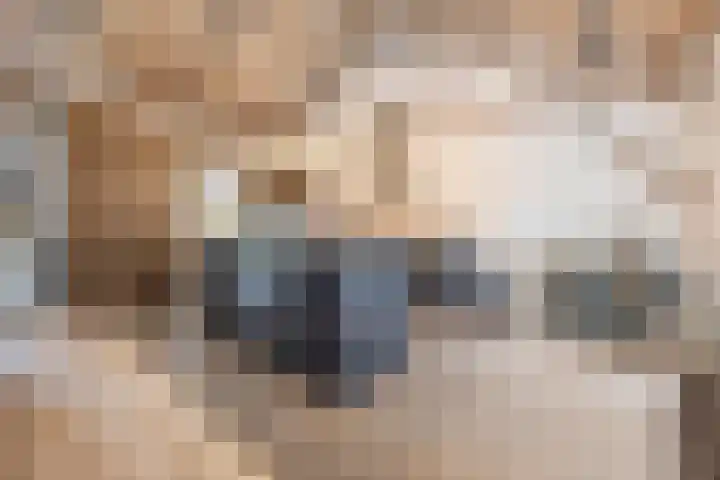 Steenfabriek 10 Gilze thumbnail 4