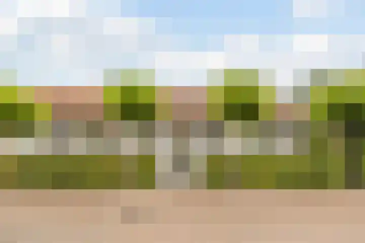 Steenfabriek 10 Gilze thumbnail 6