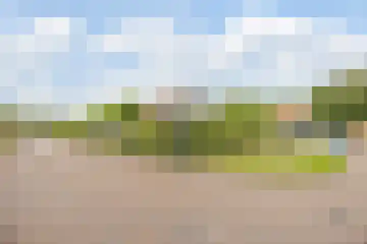 Steenfabriek 10 Gilze thumbnail 7