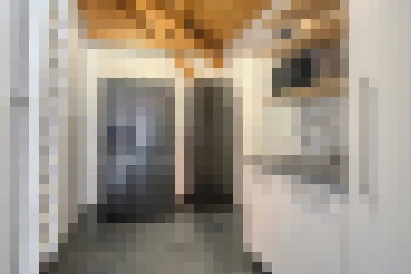 Steenfabriek 19 Gilze thumbnail 35