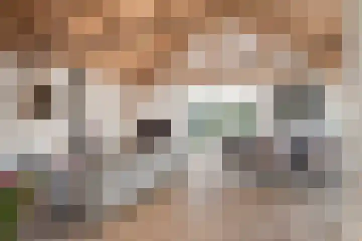 Steenfabriek 2 Gilze thumbnail 13