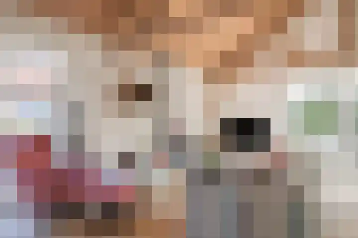 Steenfabriek 2 Gilze thumbnail 14